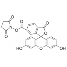 5(6)-Carboxyfluorescein succinimidyl ester 5(6)-Carboxyfluorescein succinimidyl ester